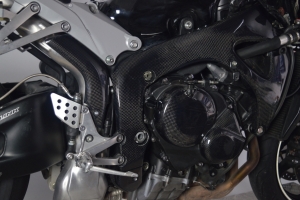 Honda  CBR 600 RR 2009-2016 Rahmenchützer - R CARBON