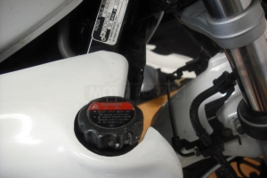 Kühleprotektor - GFK  Honda CB 600f Hornet 98-06