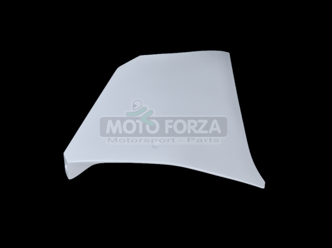 Moto 2 Suter MMX 2010 Seitenteile Rechts Version , GFK