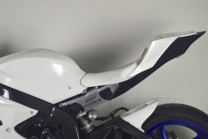Heckrahmen Yamaha YZF R6 17- mit Motoforza Teile
